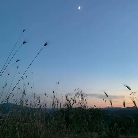Lovely Country House Fontignano